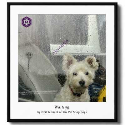 Waiting by Neil Tennant of The Pet Shop Boys