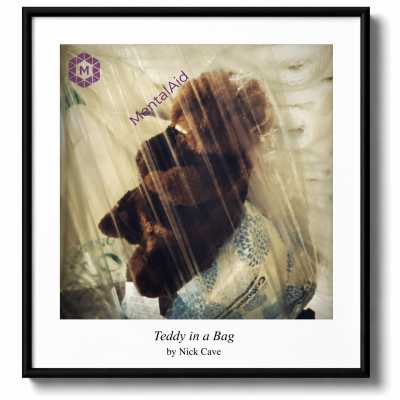 Teddy in a Bag by Nick Cave 